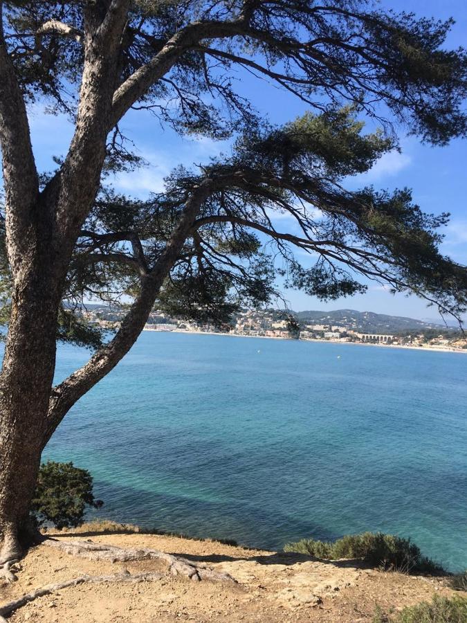 Les Galets De Sanary - Vue Mer Sanary-sur-Mer Exterior foto