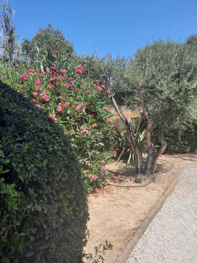 Les Galets De Sanary - Vue Mer Sanary-sur-Mer Exterior foto